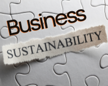 The Role of HR in Business Sustainability