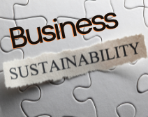 The Role Of HR In Business Sustainability