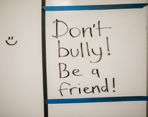 Anti-Bullying And Sensitivity