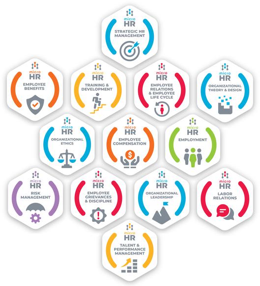 Image of 13 Badges